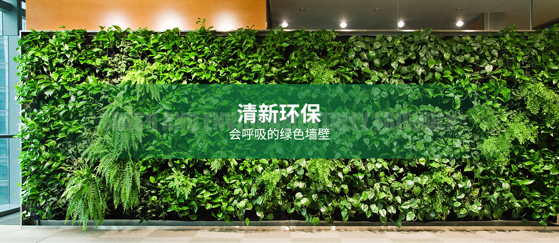 植物墙