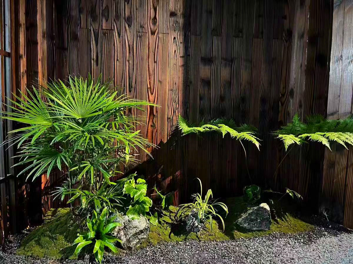 会所造景案例