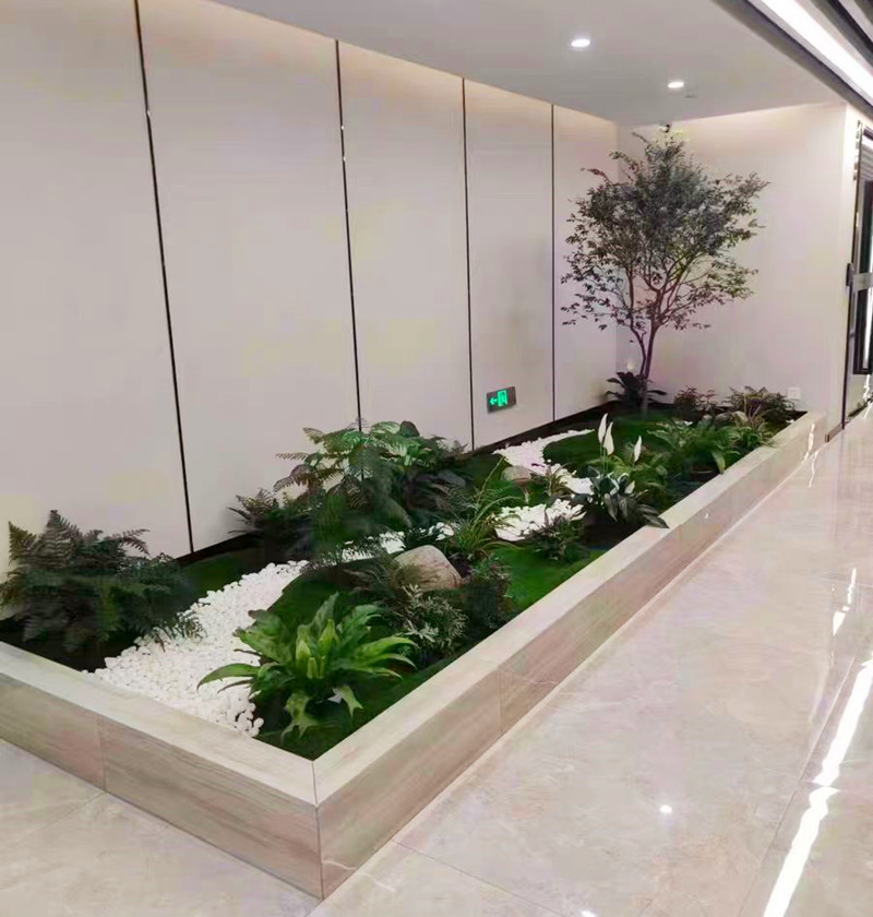 办公室造景案例