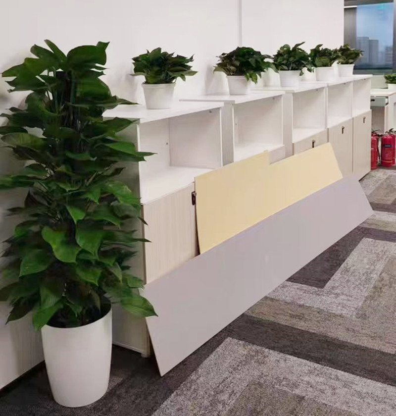 办公室绿植租赁案例