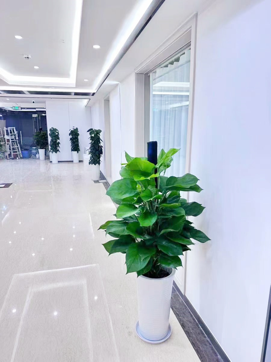 17_副本.jpg