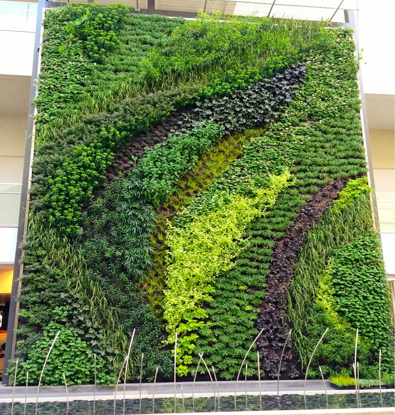 植物墙案例